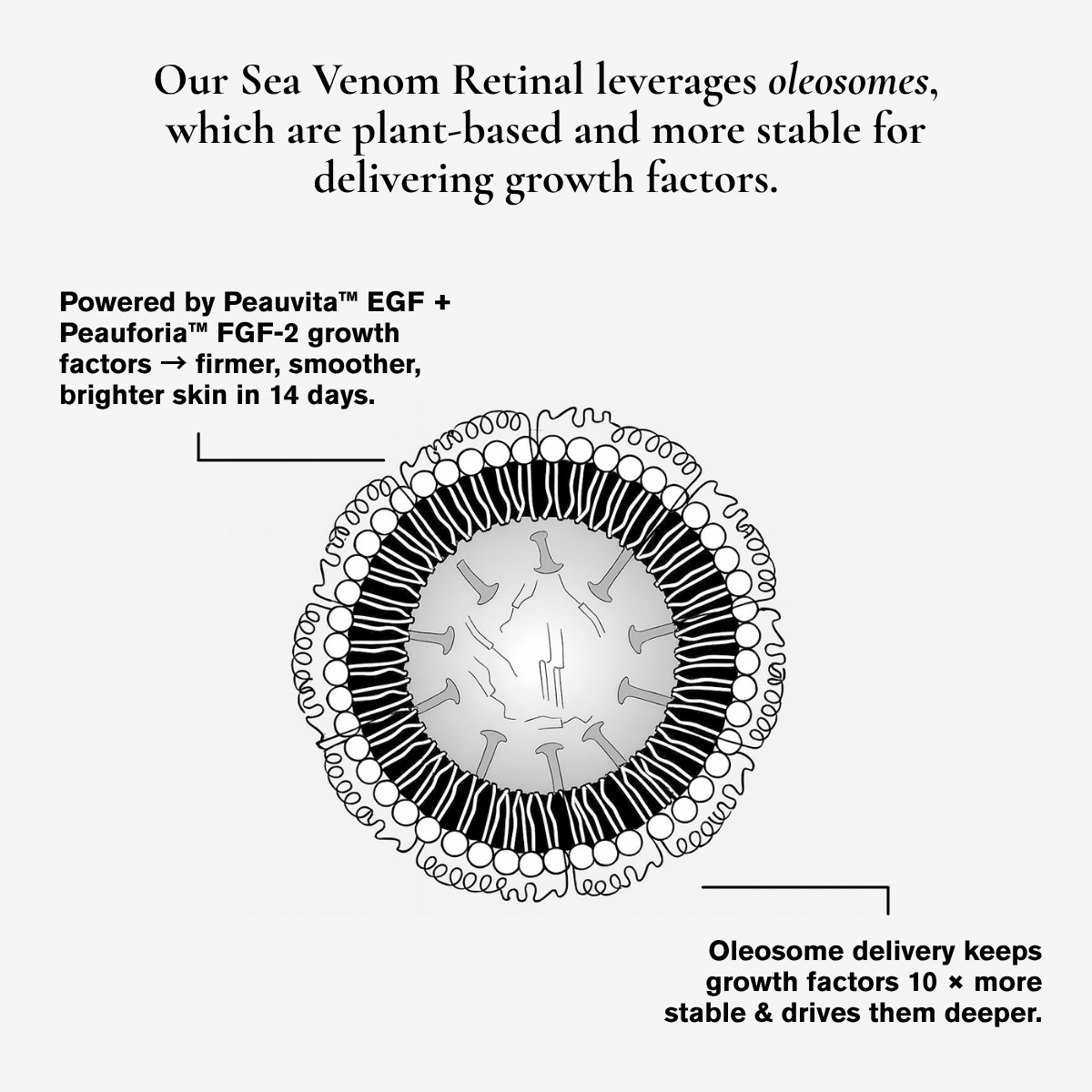Sea Venom Retinal